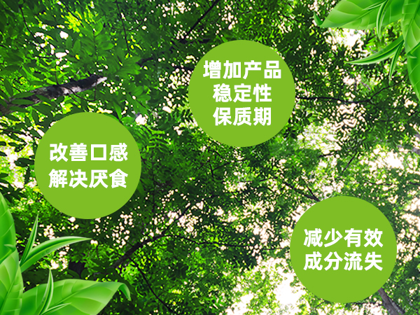 质量保证